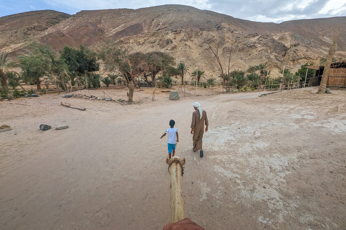 Balade en chameau dans le désert à Hurghada