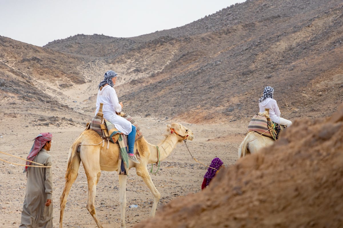 Balade en chameau lors de l'excursion en quad à Hurghada