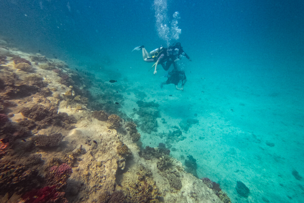 Plongée dans les fonds marins d'Hurghada