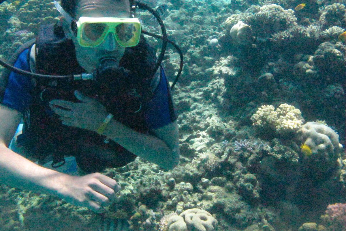 Plongeur à Hurghada en mer rouge