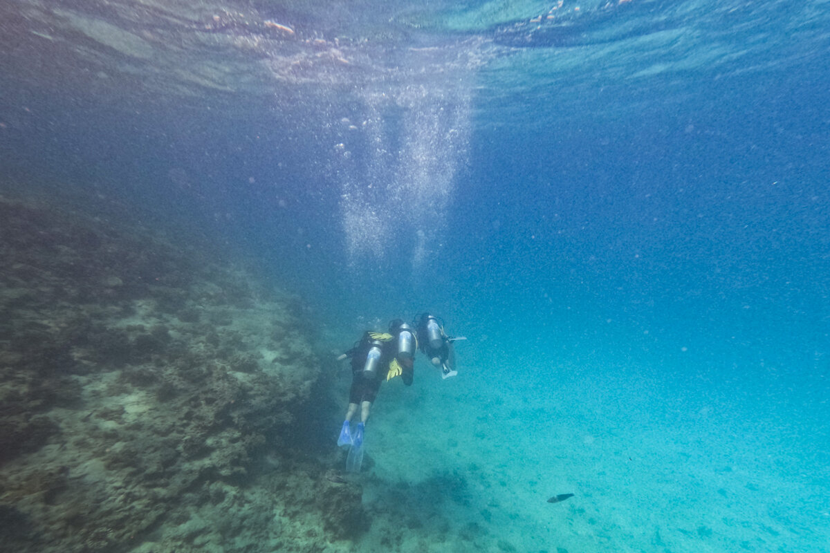 Plongeurs qui nagent au fond de la Mer Rouge à Hurghada
