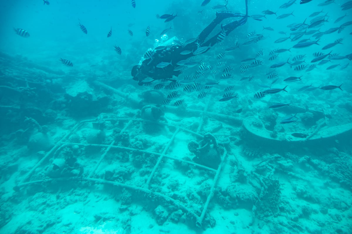 Plongeur près d'une épave avec des poissons lors de l'excursion sous-marin à Hurghada