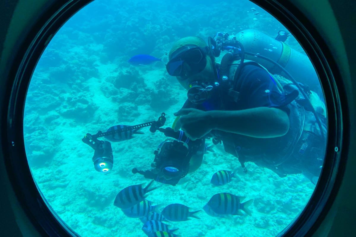 Plongeur au hublot lors de l'excursion sous-marin de Hurghada