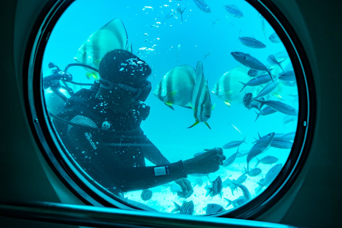 Plongeur avec les poissons lors de l'excursion sous-marin à Hurghada