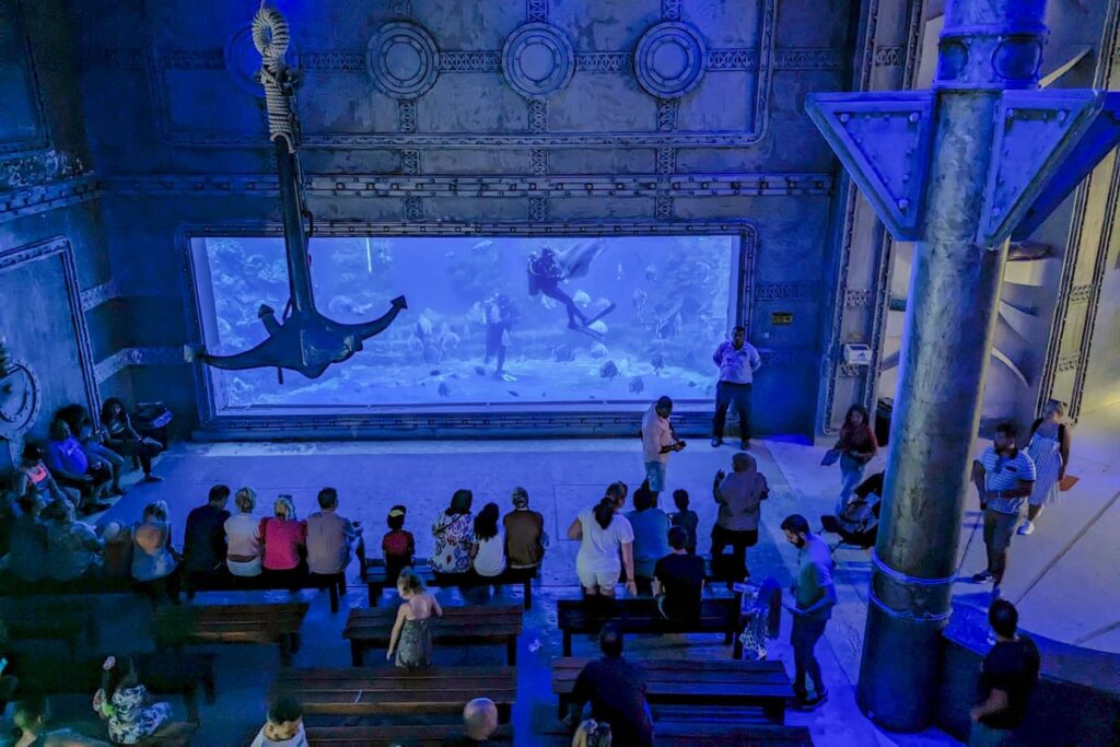 Spectacle de plongeurs de l'aquarium d'Hurghada