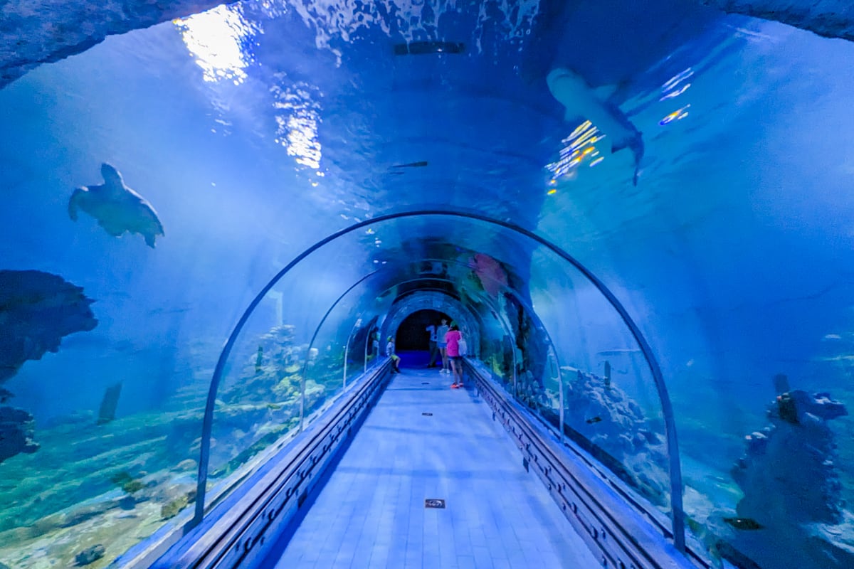 Tunnel de l'aquarium d'Hurghada